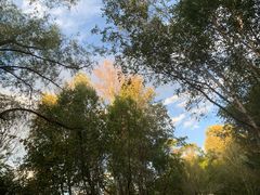 -长春市南湖公园