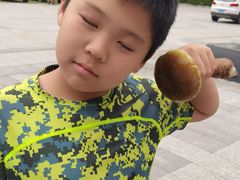 -内乡宝天曼生态旅游区