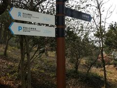 -南京市无想山景区