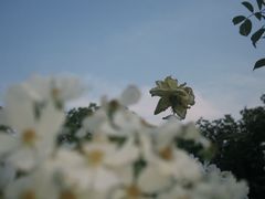 -西南政法大学(渝北校区)