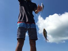 -环滩岛