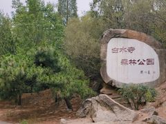 -白水寺森林公园