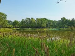 -东郊湿地公园