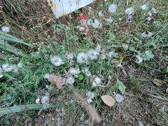 -东钱湖旅游度假区