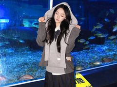 -海合安武汉极地海洋公园