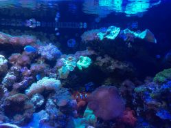 -Zoolung Zoolung动物主题公园(海信广场店)