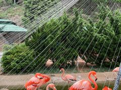 -大连老虎滩海洋公园
