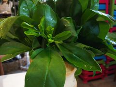 -蕃茄述·好汤自然来(江汉路店)