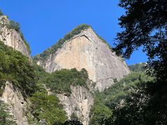 -青峰峡国家森林公园