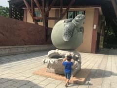 -广东惠东海龟国家级自然保护区