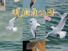 -东堤公园