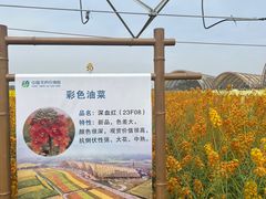 -中国天府农业博览园