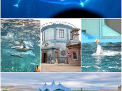 -海花岛旅游度假区