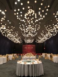 -西安威斯汀大酒店·宴会厅