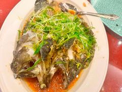 -美心皇宫(沙田大会堂店)