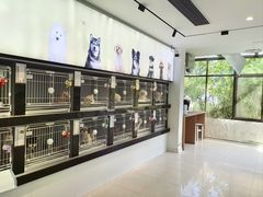 -翊宠yipet猫狗购宠庄园犬舍•猫舍