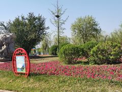 -武清南湖绿博园