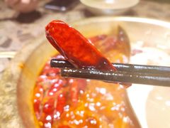 -小龙坎火锅(惠济万达店)