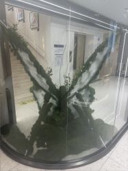 -杭州米兰柏羽医疗美容医院