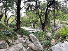 -叶家花园