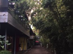 -东部华侨城