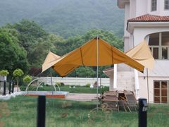 -龙坞茶村