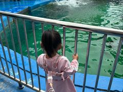 -华夏文旅海洋公园