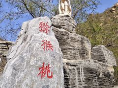 -大岭沟猕猴桃谷风景区