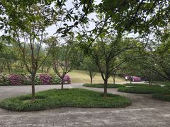 -南山植物园