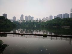 -重庆彩云湖湿地公园