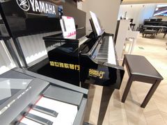 -雅歌音乐培训中心·钢琴培训·乐器培训(交道口店)