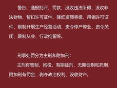 -上海领胜律师团队·法律咨询