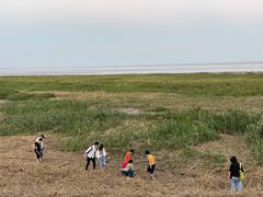 -南汇嘴观海公园