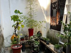 -月栖华明-云间草堂清茶馆(泗泾古镇店)