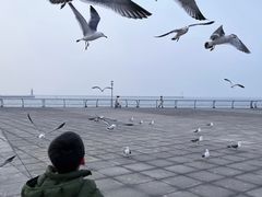 -东港音乐喷泉广场