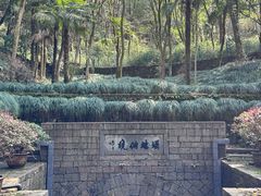 -瑶琳仙境