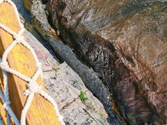 -广州白江湖森林公园