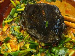 牛肝菌-肥龙火锅(南坪店)