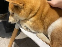 -小时光咖啡馆(北锣鼓巷店)