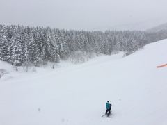 -二世古滑雪场