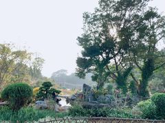 -东莞植物园