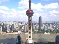 -金轩中餐厅 Jin Xuan(浦东丽思卡尔顿酒店)