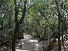 -紫金山山顶公园