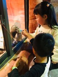 -酷嗒动物文化乐园(cutezoo西溪乐天城店)