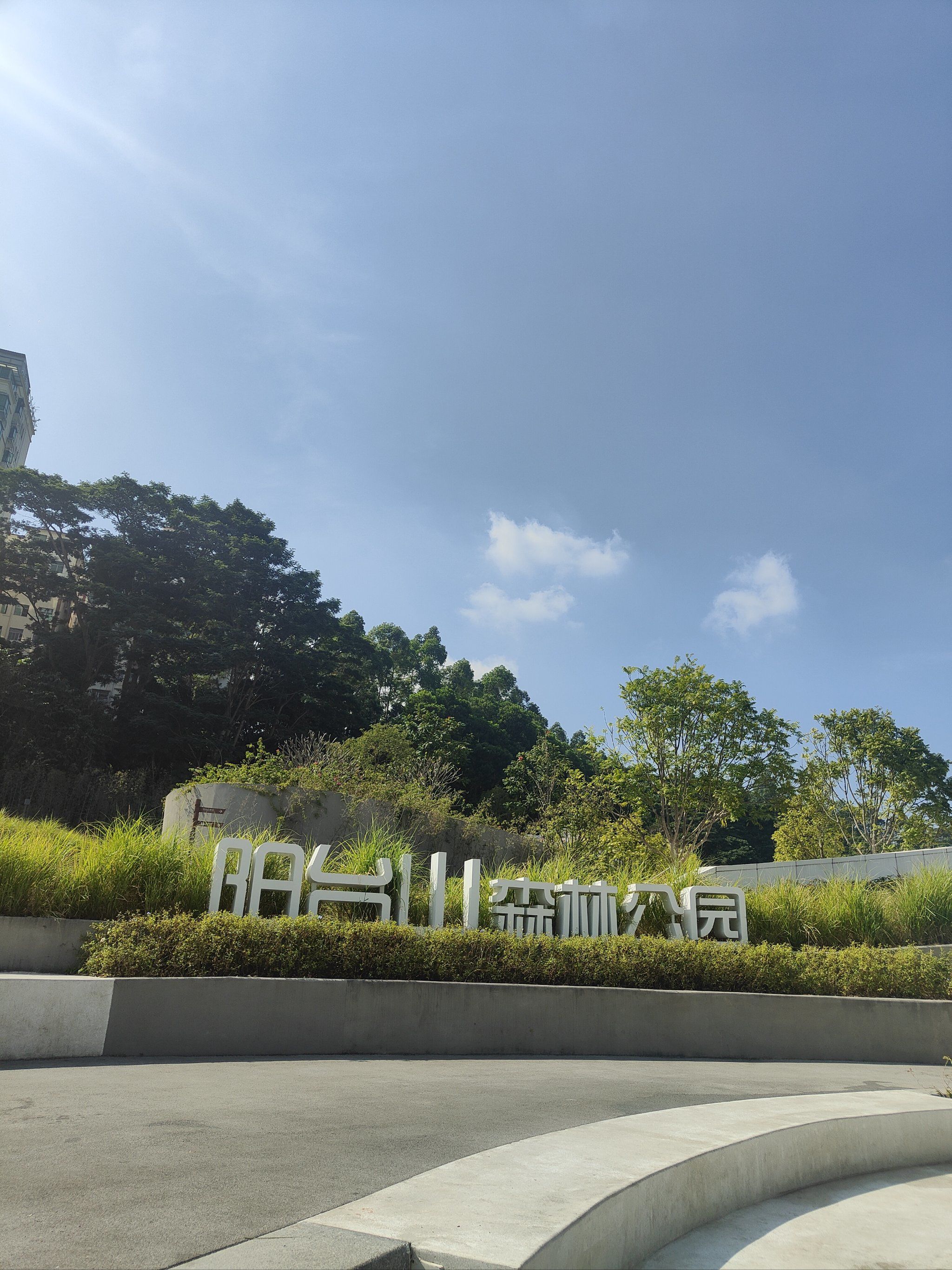 「阳台山森林公园」
#7215我自去见山