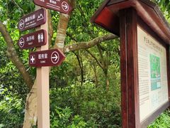 -罗三妹山