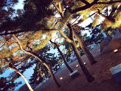 -老虎石海上公园