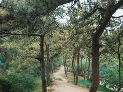 -元大都城垣遗址公园