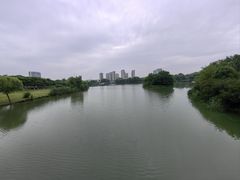 -九里河湿地公园