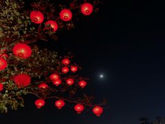 -万绿园